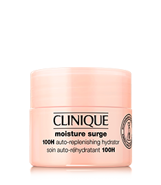 לחות מויסטר 100 שעות בגודל מיוחד