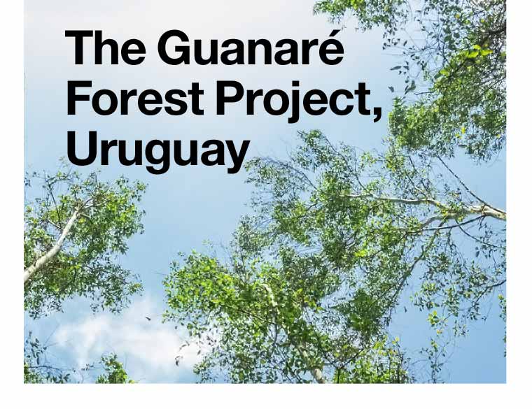 The Guanaré Forest Project, Uruguay
